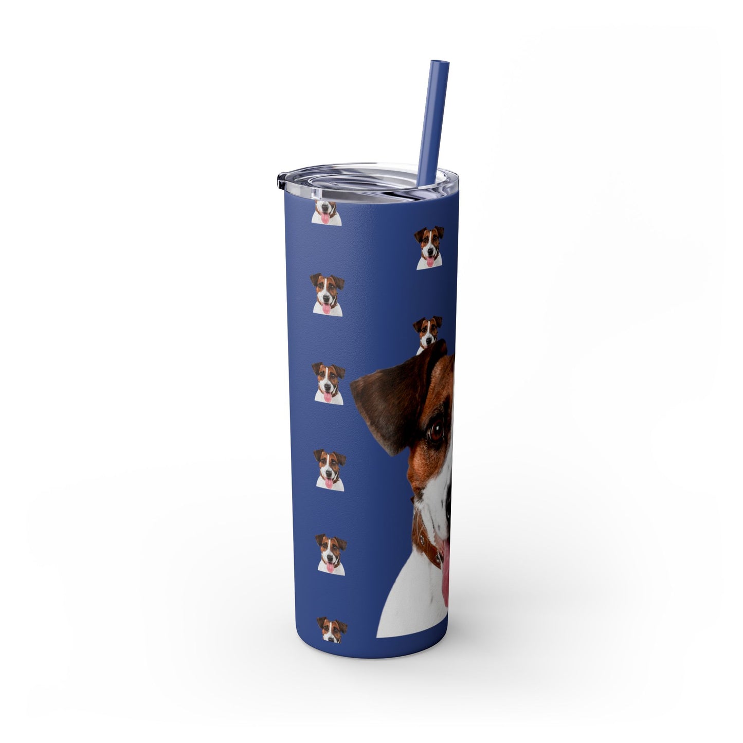 Skinny Tumbler with Straw, 20oz