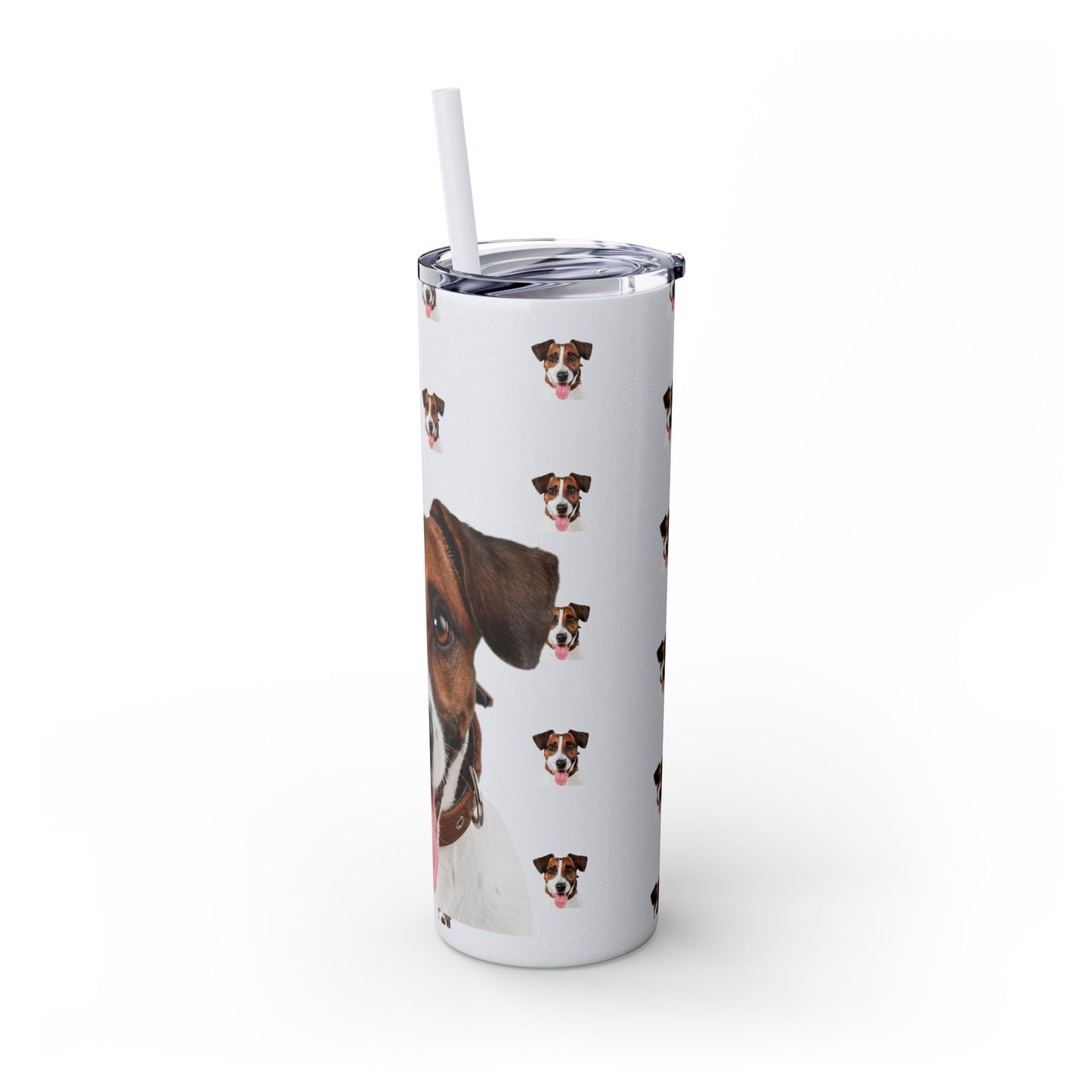 Skinny Tumbler with Straw, 20oz
