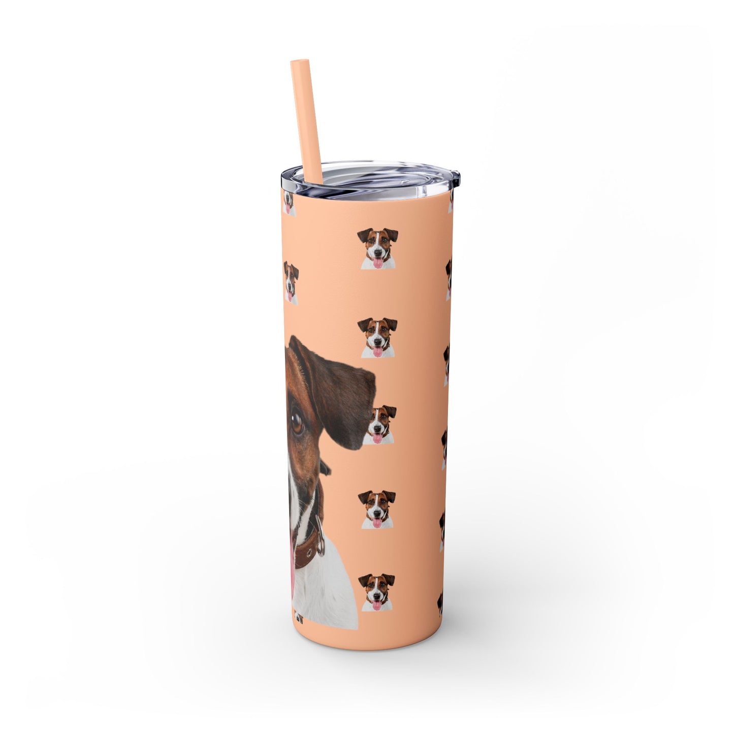 Skinny Tumbler with Straw, 20oz