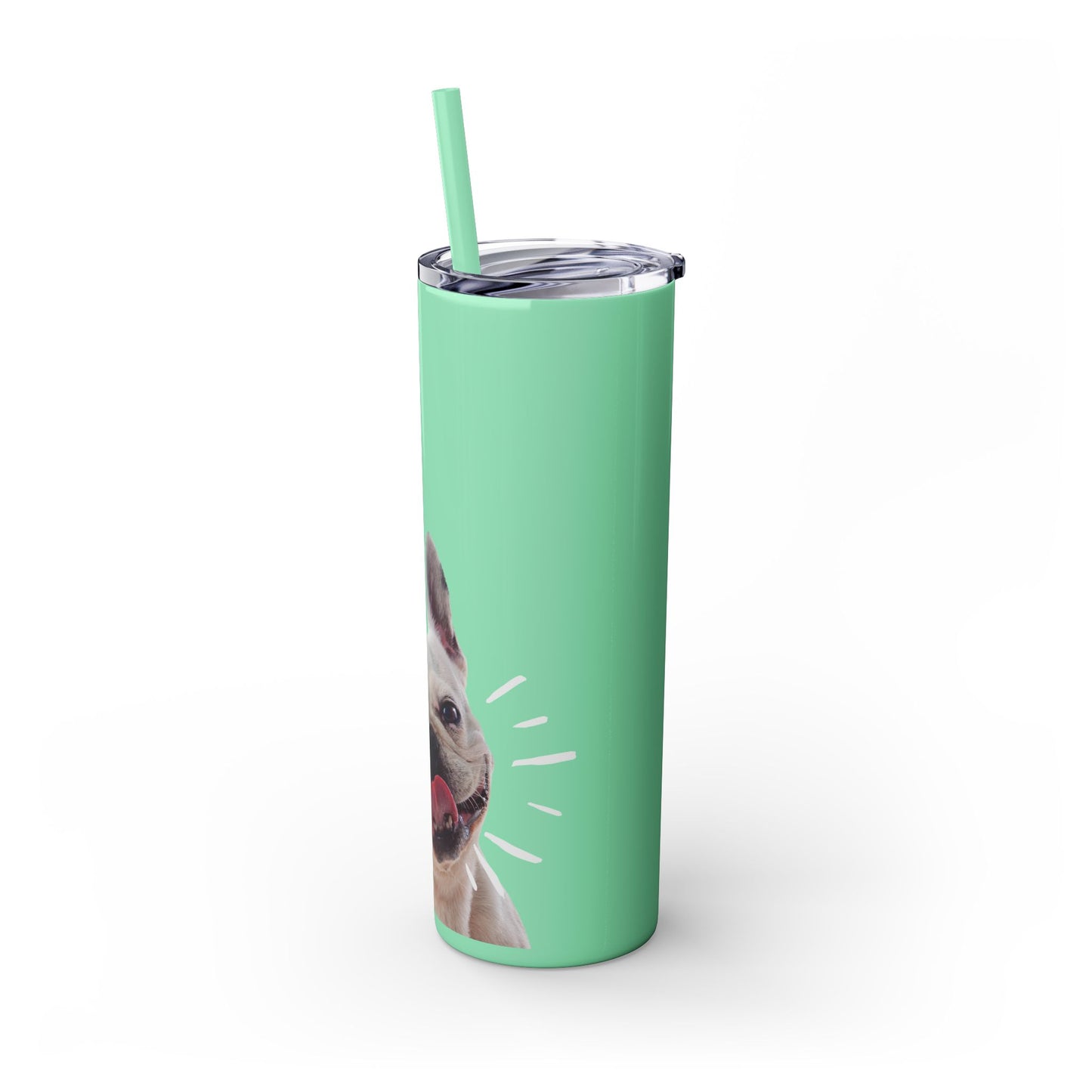 Skinny Tumbler with Straw, 20oz