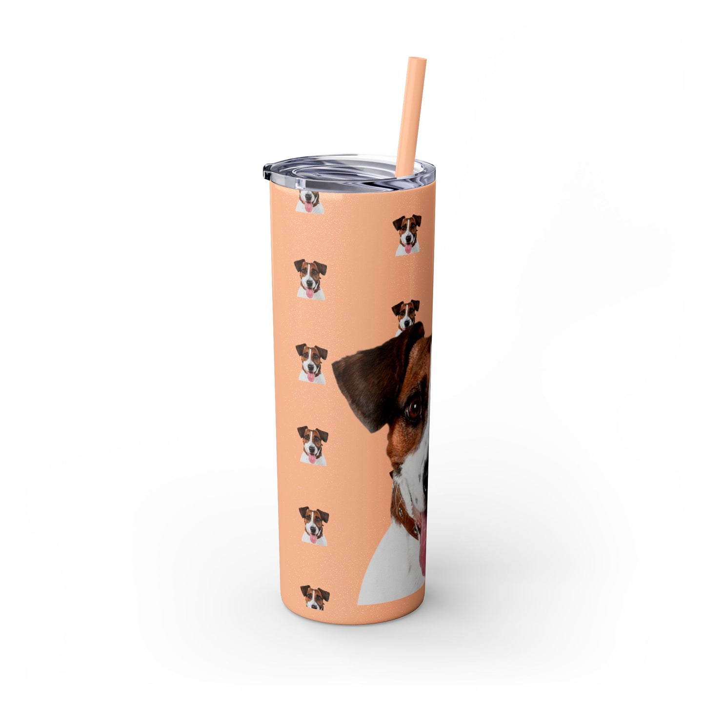 Skinny Tumbler with Straw, 20oz