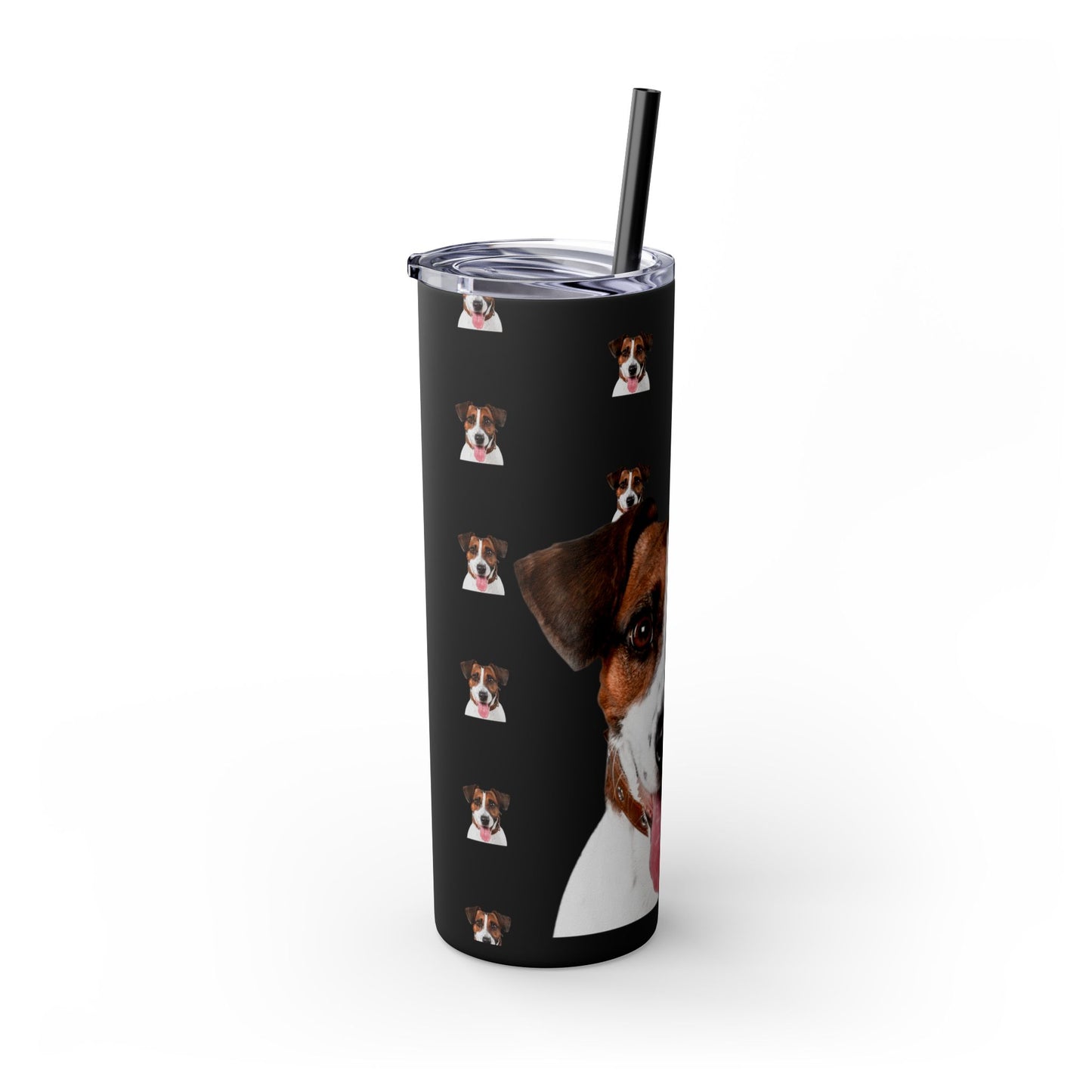 Skinny Tumbler with Straw, 20oz