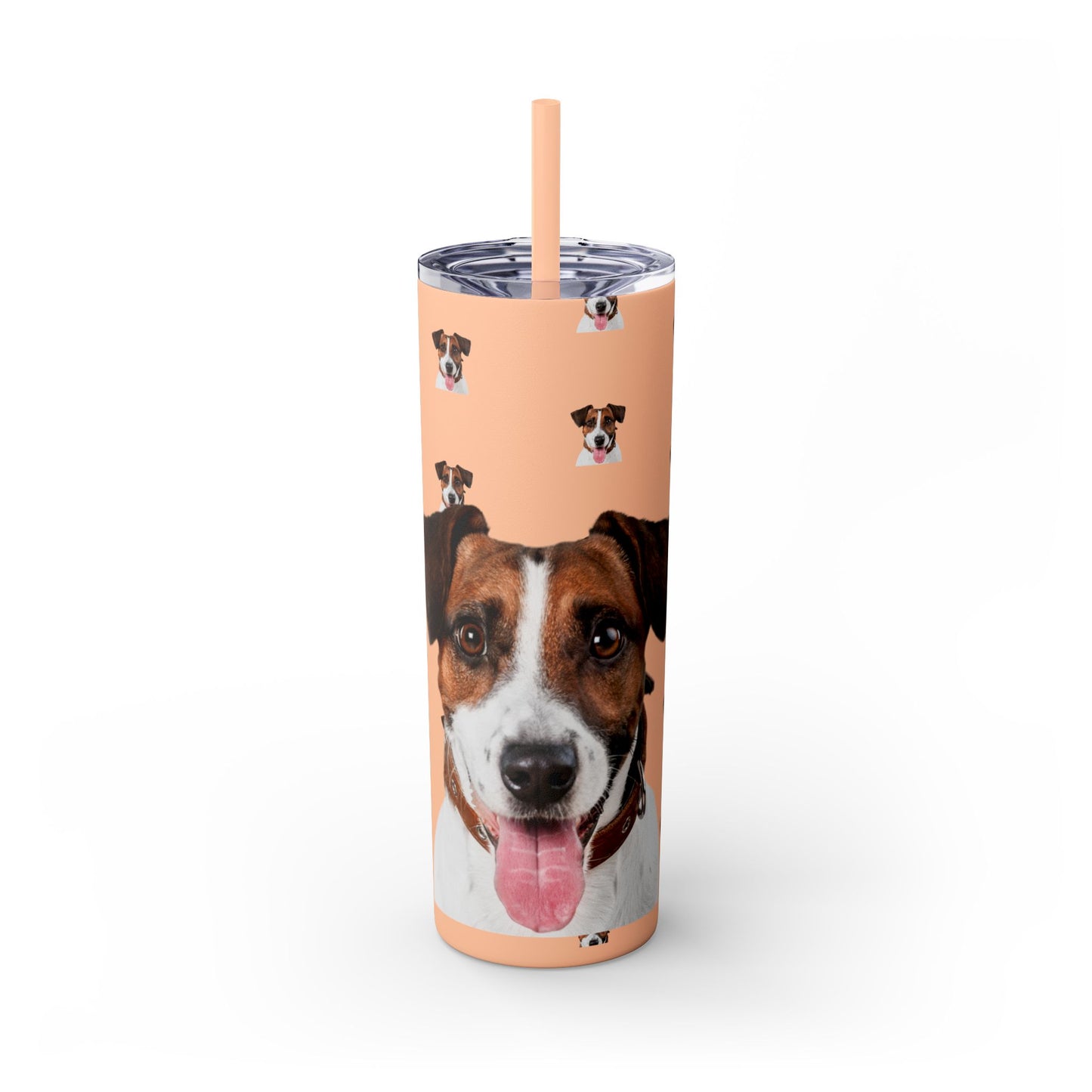 Skinny Tumbler with Straw, 20oz