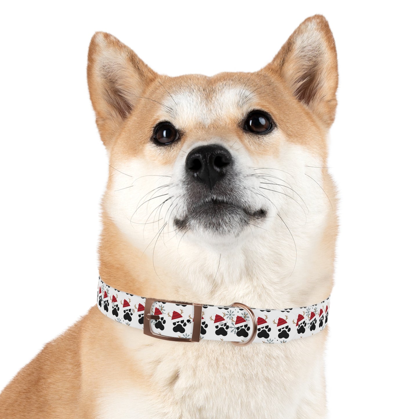 Dog Collar