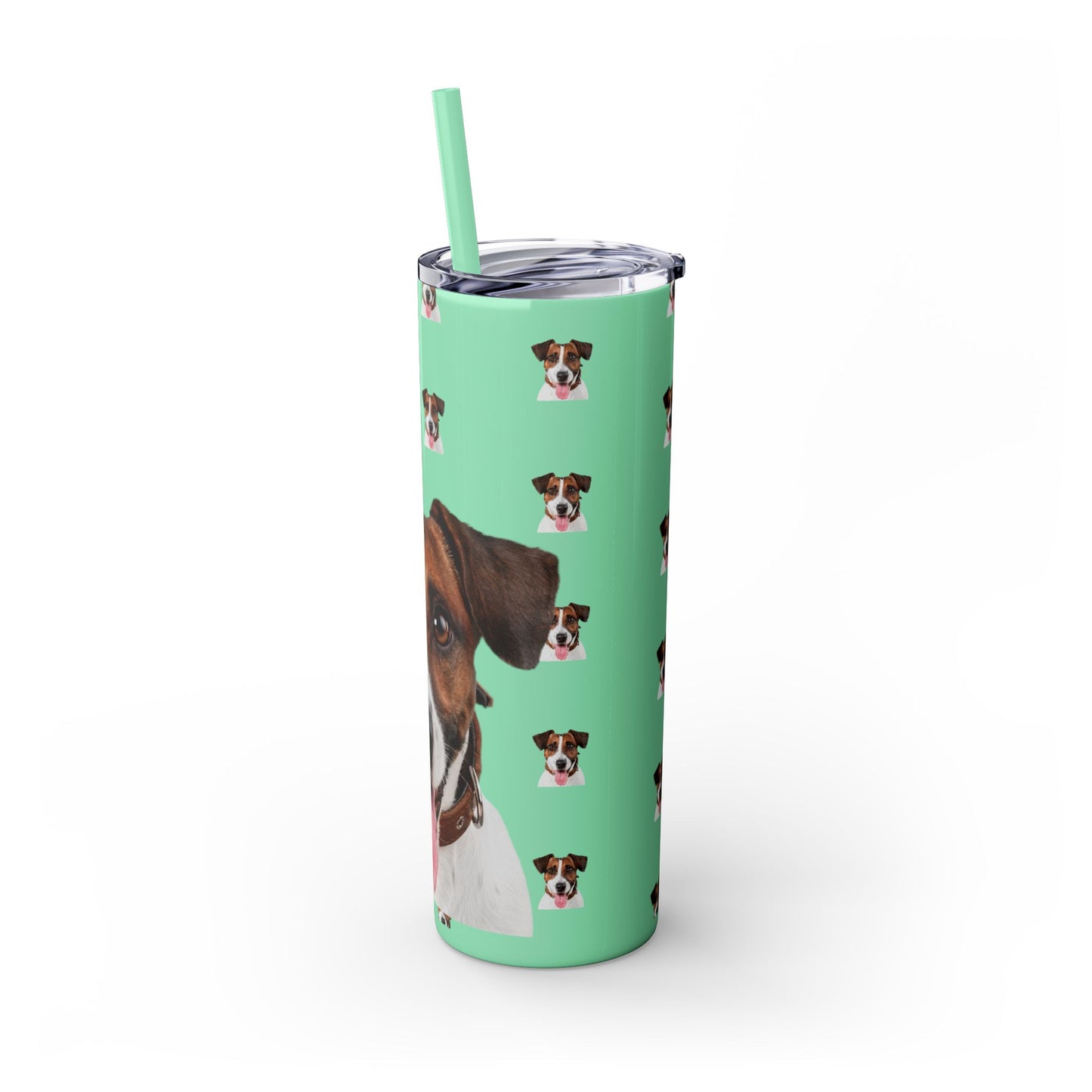 Skinny Tumbler with Straw, 20oz