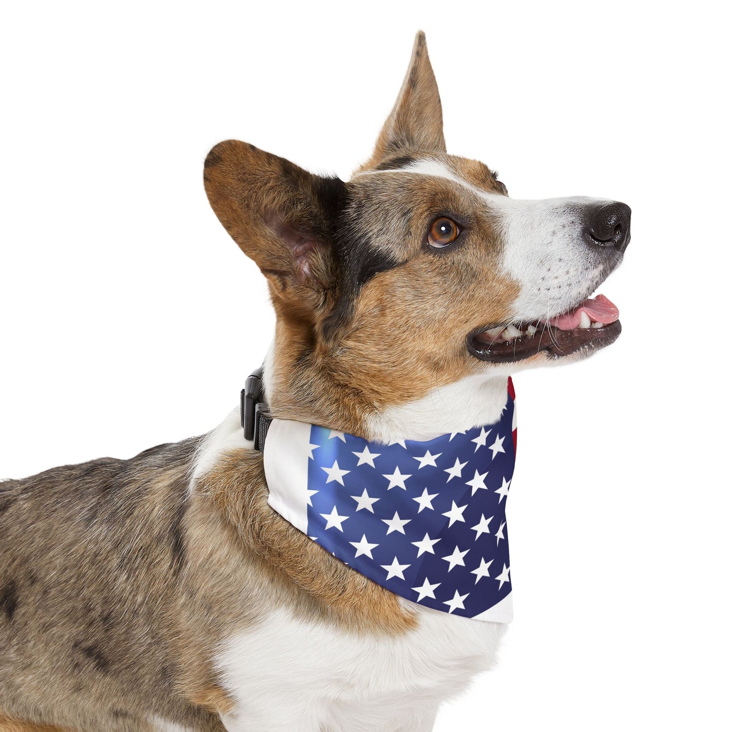 Pet Bandana Collar