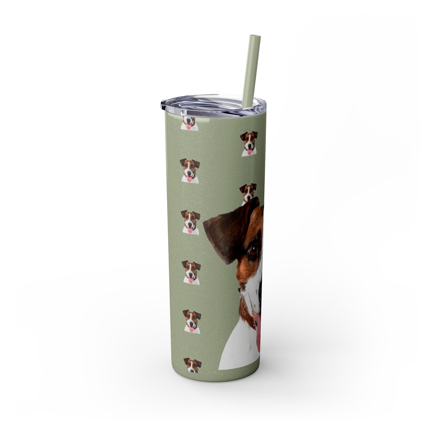 Skinny Tumbler with Straw, 20oz