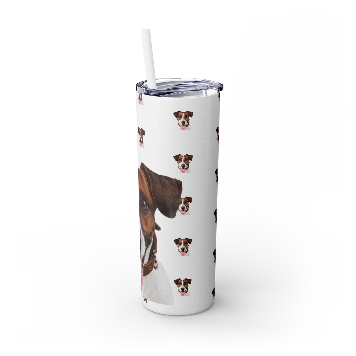 Skinny Tumbler with Straw, 20oz