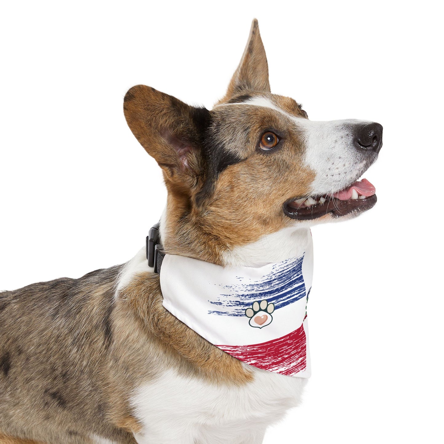 Pet Bandana Collar