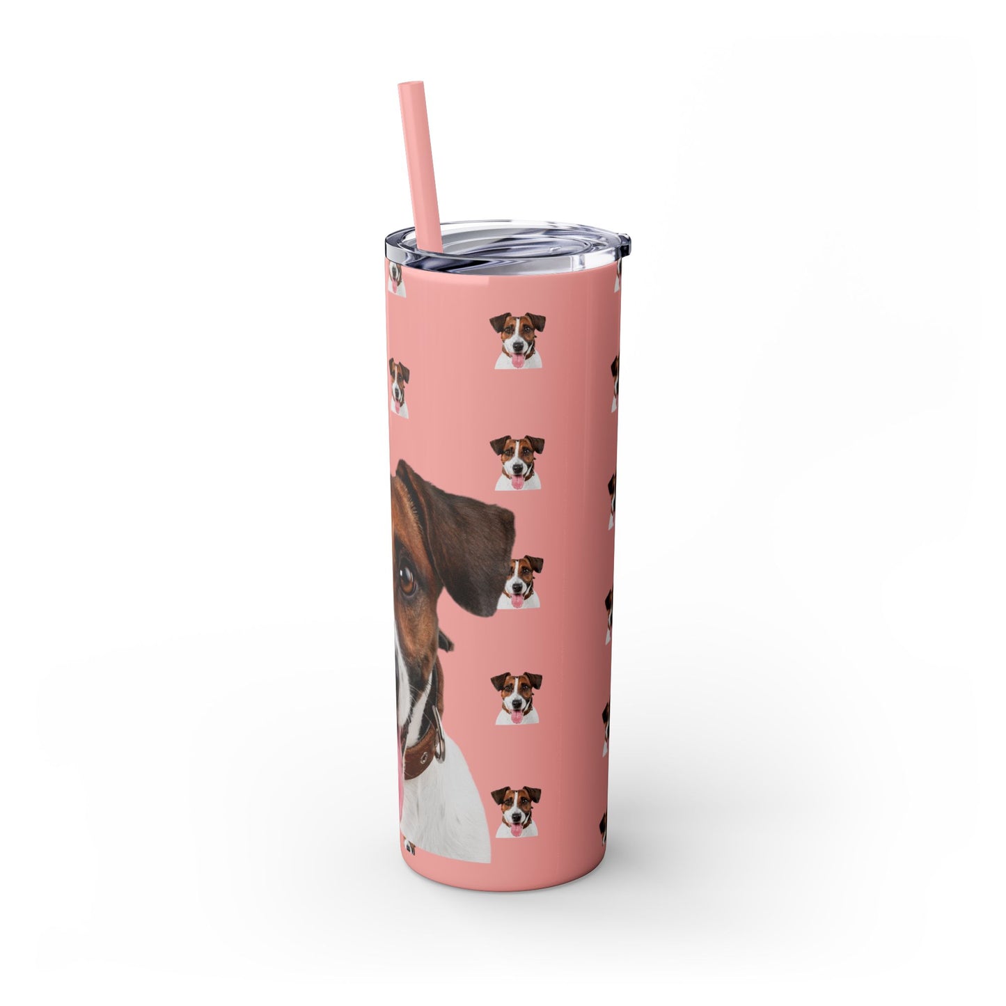 Skinny Tumbler with Straw, 20oz