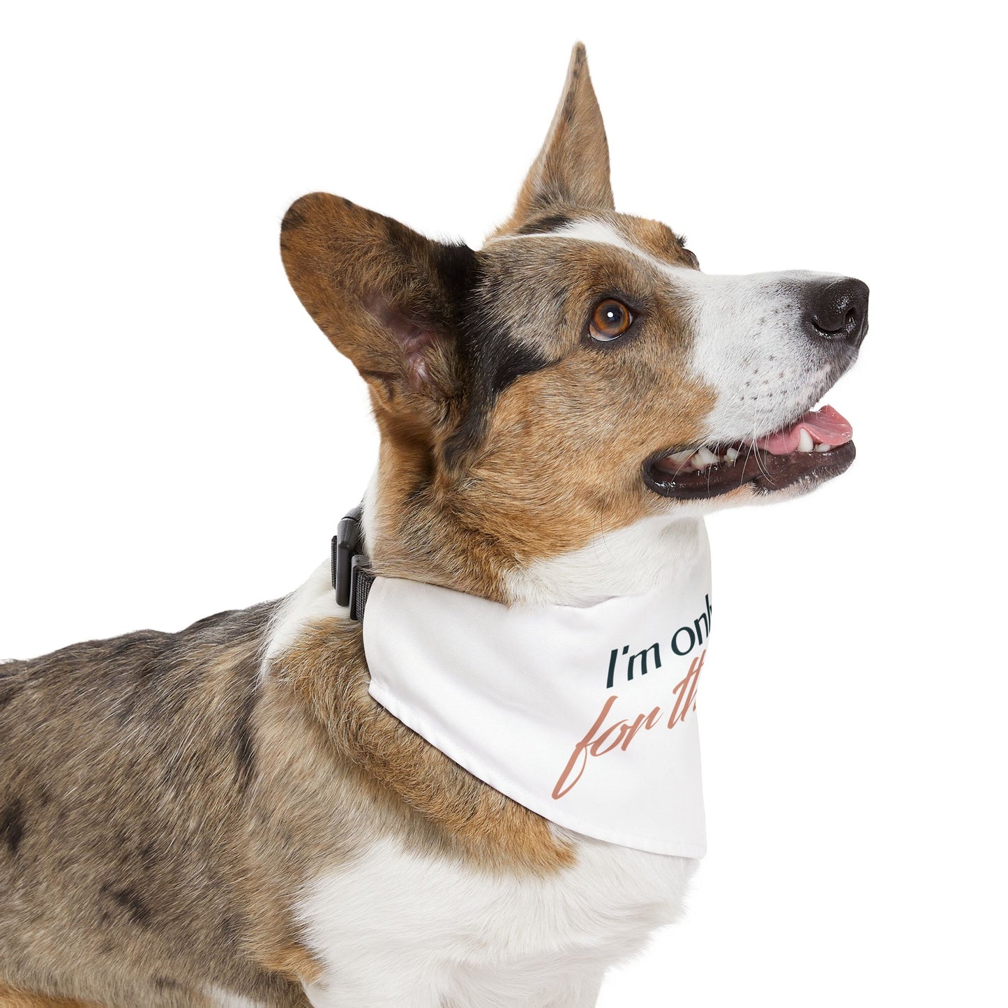 Pet Bandana Collar