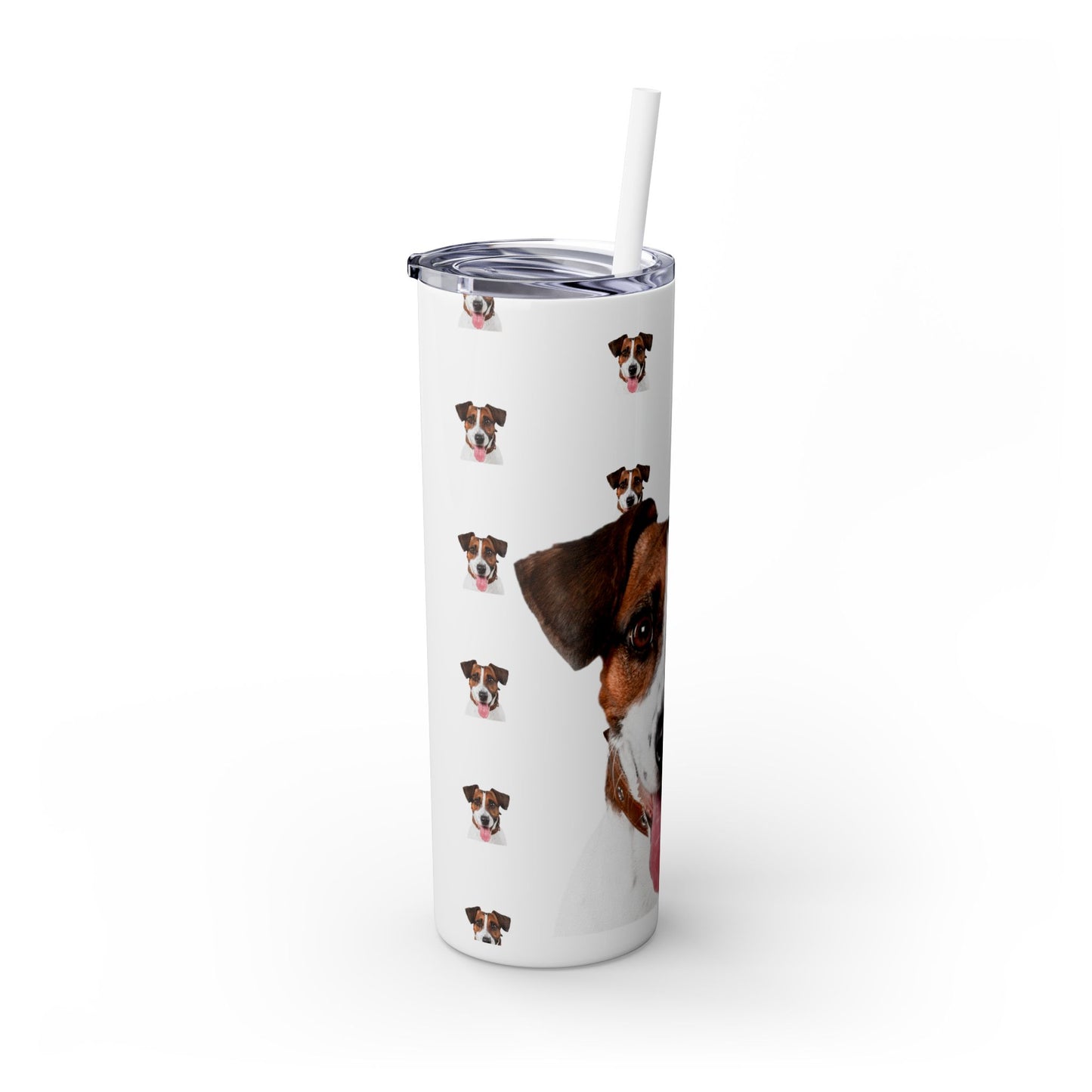 Skinny Tumbler with Straw, 20oz