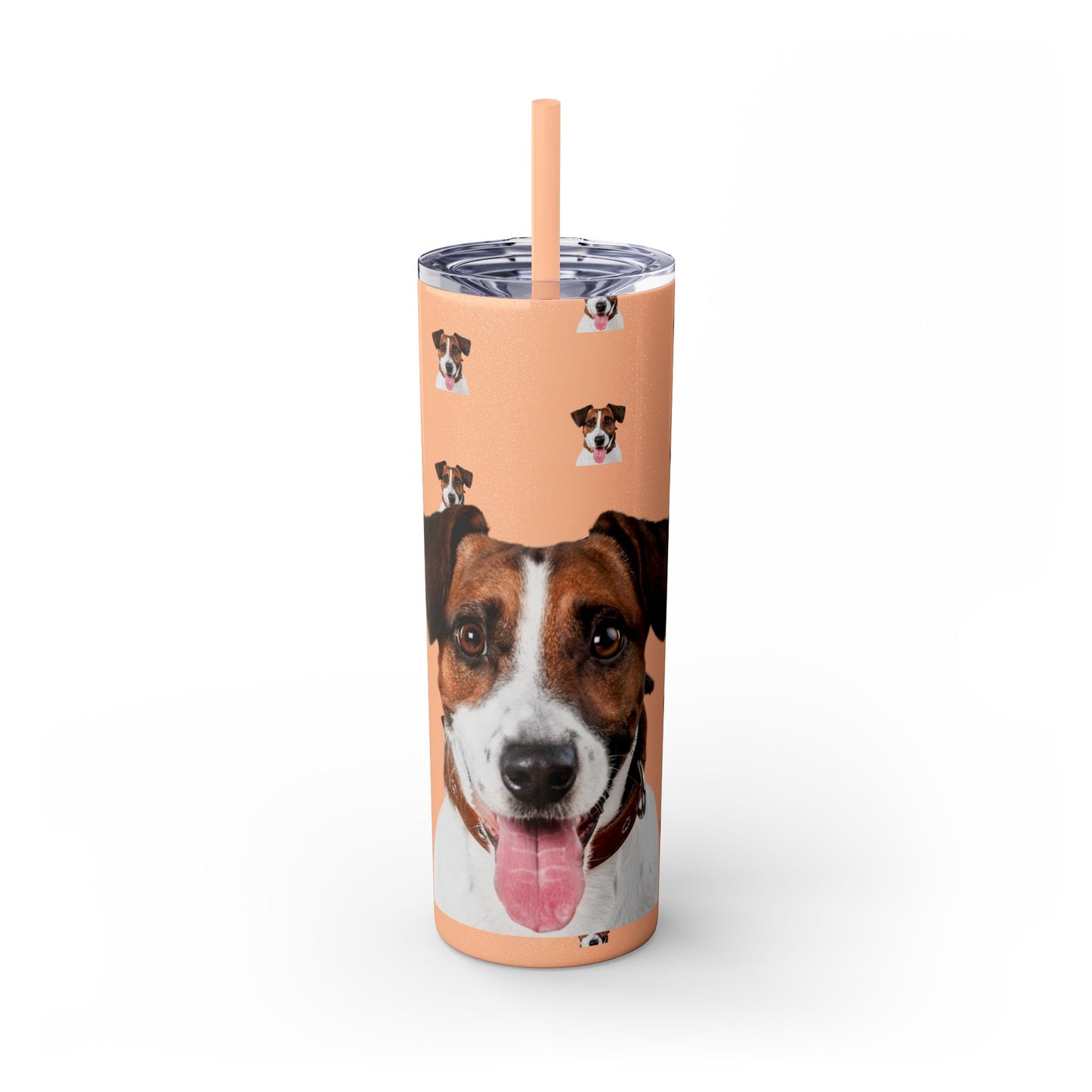 Skinny Tumbler with Straw, 20oz