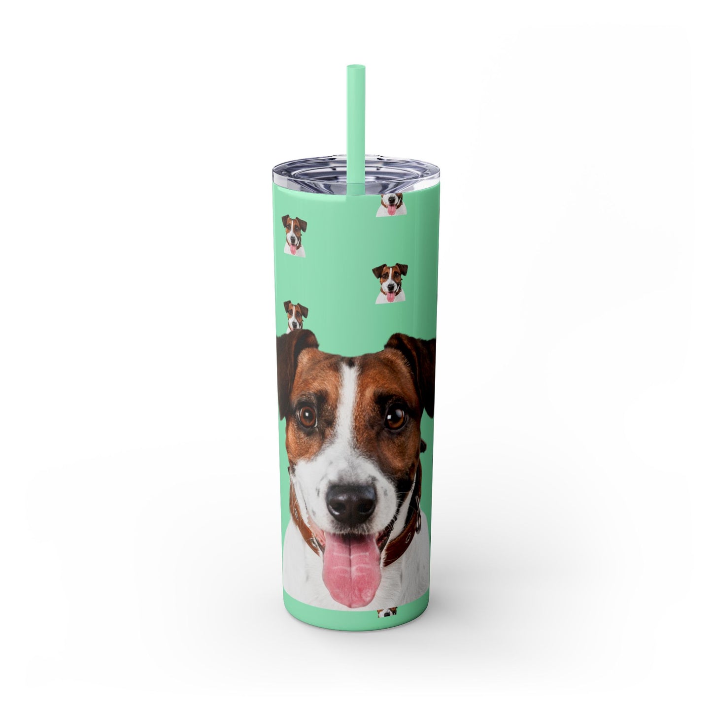Skinny Tumbler with Straw, 20oz