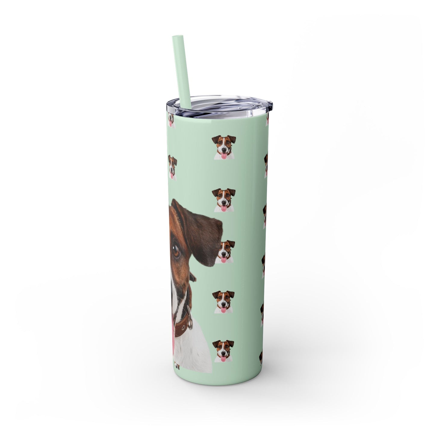 Skinny Tumbler with Straw, 20oz