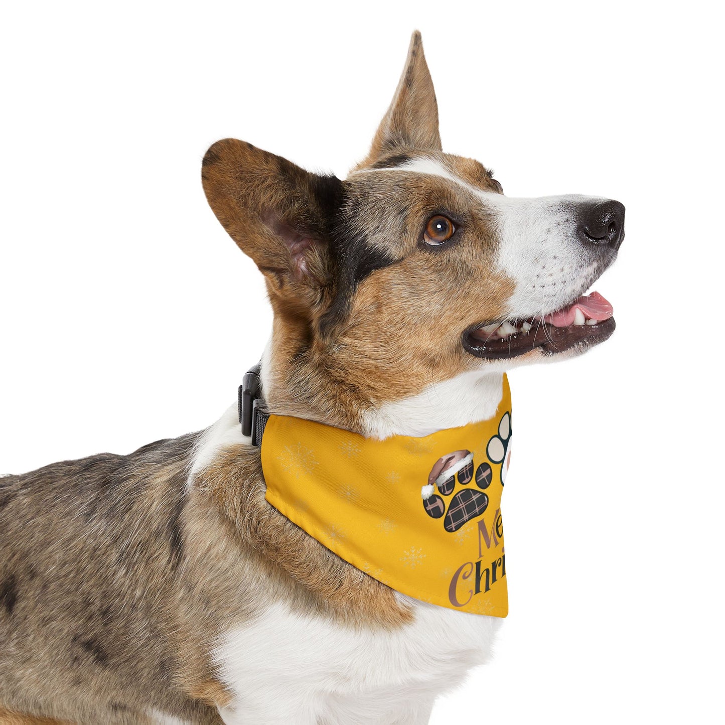 Pet Bandana Collar